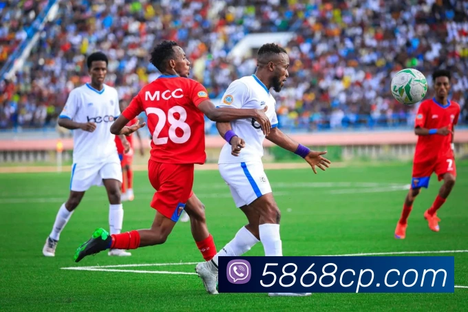 中彩网服务体系